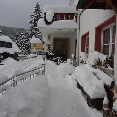 Haus Sommerberg Feldberg  Eksteriør bilde