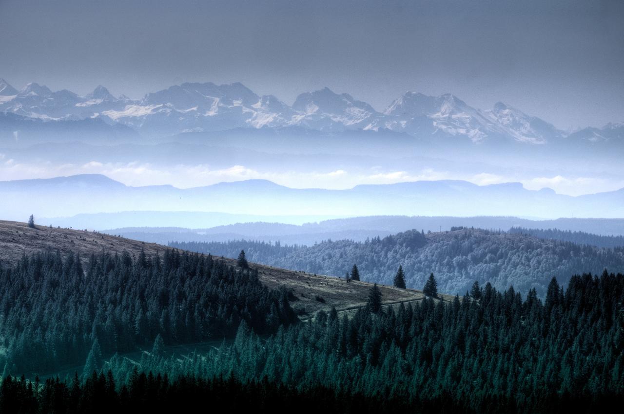 Haus Sommerberg Feldberg  Eksteriør bilde